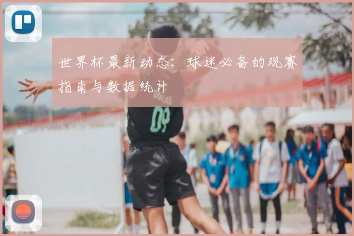 世界杯最新动态:球迷必备的观赛指南与数据统计