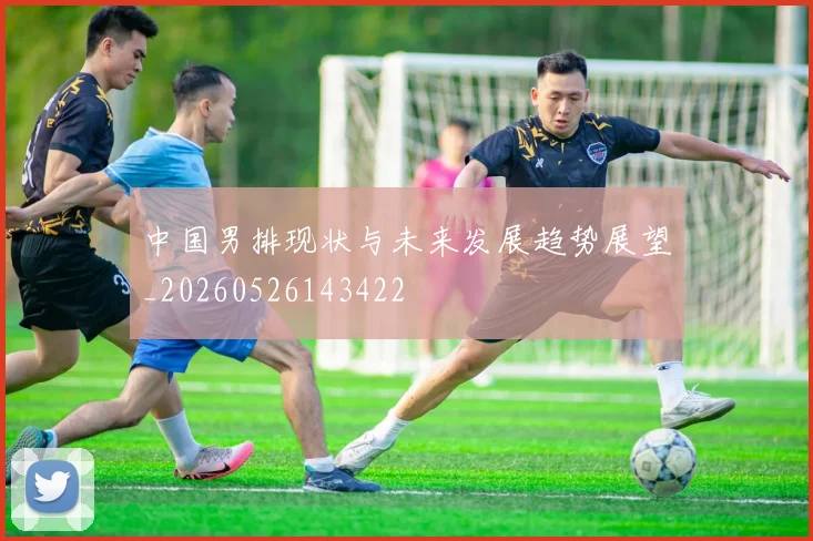 中国男排现状与未来发展趋势展望_20260526143422