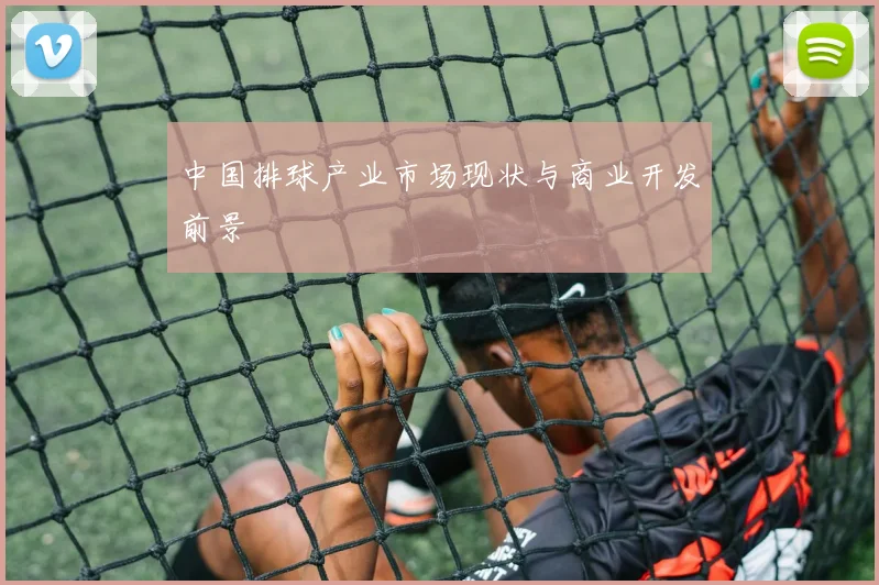 中国排球产业市场现状与商业开发前景